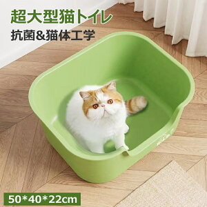 btE L gC ^ Lp 傫 Jo[ { U ȒP юU юUȂ Ƌ  [   􂦂 U炩ɂ L { ybg  Vv  傫 