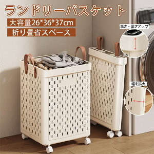 h[oXPbg   [ JS ܂肽 X e RpNg LX^[t  󕨓 h[{bNX JS oXPbg t 