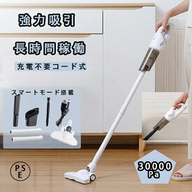 掃除機 スティッククリーナー サイクロン 自立式 軽量 超軽量 スタンド 充電式 スティッククリーナー 2way ハンディクリーナー 簡単操作 水洗いOK スティック 充電不要 サイクロン掃除機 スティック