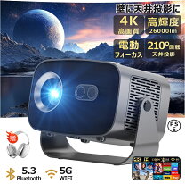 楽天市場】プロジェクター 価格 業務用の通販