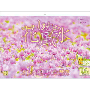 y݁zy񏤕iz 2026NJ_[킹̉ԕ26CL-C-12[9/1]