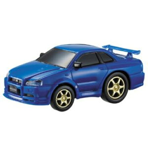 �y���������z �h���C�u�^�E�� NO.1 �X�J�C���C��GT-R�iR34)�}���J�������