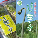 【予約受付開始！5月下旬より順次発送】【送料無料】岩手・西和賀ブランド！採れたてとろっとやわらか「西わらび150g…