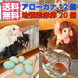 アローカナ 卵 卵の人気商品 通販 価格比較 価格 Com