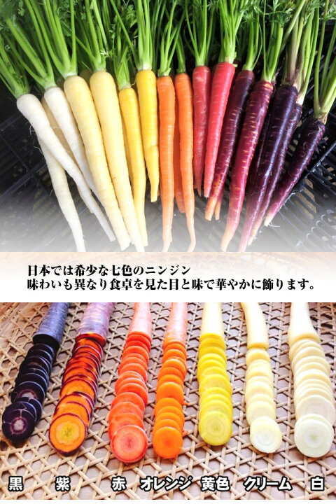 楽天市場 送料無料 カラフル人参セット 7色 4袋 合計28本 岩手 減農薬野菜 お土産 現在 7色ご用意できます 野菜 玉子 は 岩手 ぞっこん広場