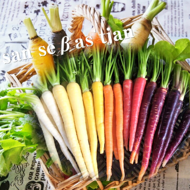楽天市場 送料無料 カラフル人参セット 7色 4袋 合計28本 岩手 減農薬野菜 お土産 現在 7色ご用意できます 野菜 玉子 は 岩手 ぞっこん広場