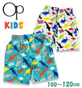  j̎q T[tpc Cpc q jq 100 110 120yOP(I[VpVtBbN)zOcean Pacific