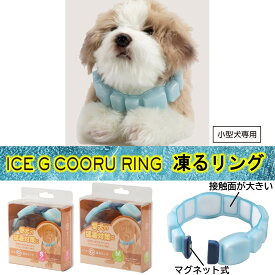 2024 ice-G Cooru Ring 凍るリング ペット(小型犬)用 28℃ 【 ICGP 】 S 22-26cm M 27-33cm
