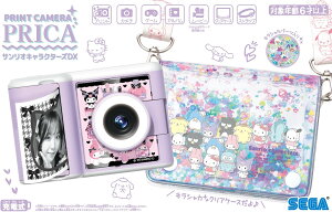 ZKtFCu ( SEGA FAVE ) PRINT CAMERA vJ TILN^[YDX J `FL