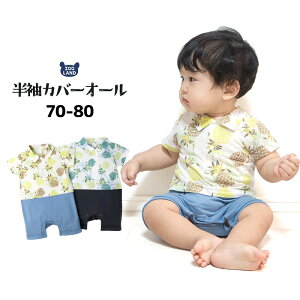 y38%OFFz xr[ p[X  xr[ Jo[I[ d˒ Zp[g fUC An  ( 70-80cm ) ܃p[X q xr[ LbY Ԃ xr[EFA j̎q V 