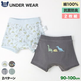 男の子 下着 キッズ パンツ 肌着 綿100％ 2枚セット ブリーフ 2枚組 フライス 抗菌防臭 下着 アンダーウェア ( 90-100cm ) ▽ ボーダー 通園 通学 新入園 新入学 幼稚園 保育園 恐竜 ダイナソー 天然素材 コットン オールシーズン 90cm 95cm 100cm ベビー ▽ポイント消化