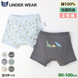 男の子 下着 キッズ パンツ 肌着 綿100％ 2枚セット ブリーフ 2枚組 フライス 抗菌防臭 下着 アンダーウェア ( 90-100cm ) ▽ ボーダー 通園 通学 新入園 新入学 幼稚園 保育園 恐竜 ダイナソー 天然素材 コットン オールシーズン 90cm 95cm 100cm ベビー ▽ポイント消化