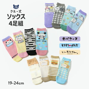 yLN^[ \bNX 4ZbgzLbY C  nbs[obO IoP[k ς [Ƃ ̎q q K[Y N[ 19cm 20cm 21cm 22cm 23cm 24cm  R{  