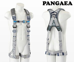 uė~p̋KivKi@^C^@tn[lX@PAHN-10A-SI^iVo[j@PANGAEA@HORIZONipQA@zC]j