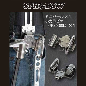 yMIKIz~jo[EJri@SPH9-DSW (󒍐Y)