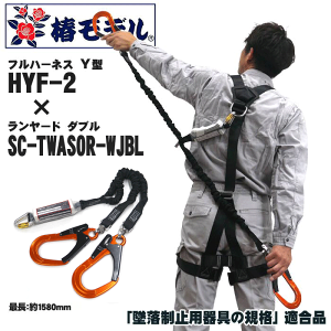 ytn[lX[hZbgzփf@HYF-2iY^n[lXj×SC-TWASOR-WJBLi[h_u@IWj ^Cv2i2j 100kgȉ uė~p̋KivKi