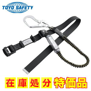 g[[ZteB[@No.AGH-666@xg^ė~p@Lk@VKiKi