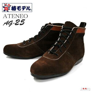 փfbSCbJISKibATENEO AG25ցbփfJ[
