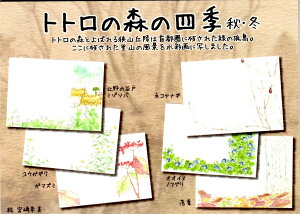 Wup |XgJ[h(6) gg̐X̎lGEH~ ƂȂ̃gg