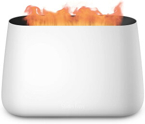 yzStadler Form Ben  zCg g A} LEDCg 6 A}fBt[U[