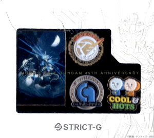 STRICT-G K_V[Y45NsYZbg @mK_ ̖