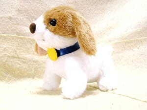 Wupٌ R ʂ STCY Ȓ傳