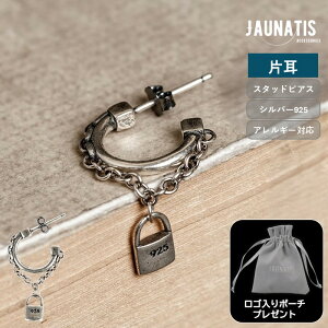 yЎ̔z sAX Vo[925 Vo[ANZT[ X^bhsAX Y fB[X jZbNX jp bN 싞 Be[W BWAn JWA S925 AM[