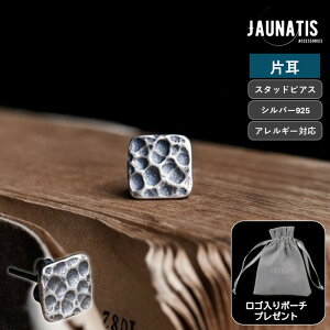 yЎ̔z sAX S925 Vo[925 X^bhsAX Vo[ANZT[ Y fB[X jZbNX jp ` XNGA łڂ G{XH N[^[ Be[W 