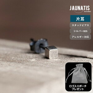 【片耳販売】 ピアス シルバー925 シルバーアクセサリー メンズ レディース ユニセックス 立方体 スタッドピアス silver925 アンティーク調 燻し 正方体 コンパクト ヴィンテージ風 S925 アレル