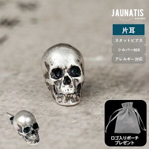 yЎ̔z sAX hNsAX Vo[ANZT[ S925 Y fB[X jZbNX Vo[925  X^bhsAX hN nEB AeB[N  AM[Ή