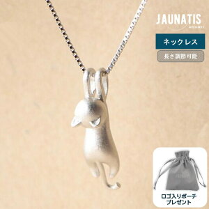 lbNX 40+5cm 45cm fB[X Ԃ牺lR L Lbg Vo[ 킢  xl`A`F[ ^J Aj}  VGbg