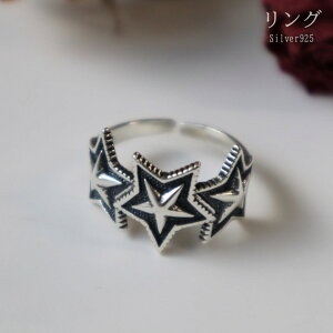 w O S925 Vo[925 X^[O \ O  lC AeB[N re[W jp Y fB[X Vv  v[g Mtg silver925 Vo[ANZT