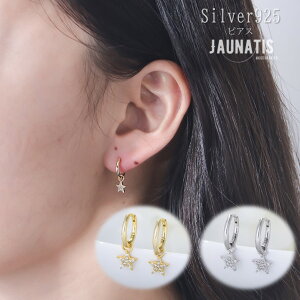 sAX S925 Vo[925 X^[ t[vsAX  Vo[ANZT[ 14K bL fB[X silver925  _Ct WR nCNIeB i 