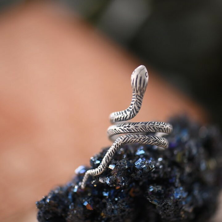 楽天市場】リング 指輪 蛇 ヘビ スネーク S925 シルバーアクセサリー 