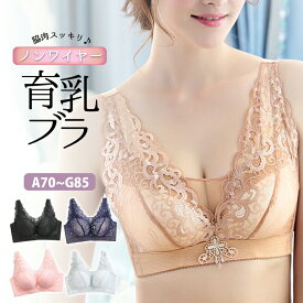 育乳ブラ ブラ ノンワイヤー 脇だか ノンワイヤーブラジャー 脇流れ 背肉 ブラジャー ワイヤー無し ナイトブラ ノンワイヤーブラ ワイヤーなしブラ 脇高補正谷間 脇肉補正ブラ 脇高ブラ 脇肉ブラジャー 脇肉ブラ 大きいサイズ 谷間メイクブラ 40代 30代 20代 補正ブラ 育乳