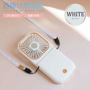 ~j@ | @ 񂩂 3000mAh ~jt@ nfBt@ @ ^@ т ItBX oCobe[ É X}zX^h |[^u [d