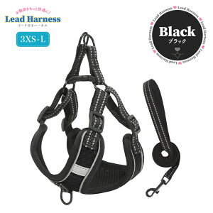 n[lX  [hZbg ^ ^ 킢  p Lp Ck hbO  lR ˋ@\t y SȂ bV ɂ n[lX[hZbg [h   