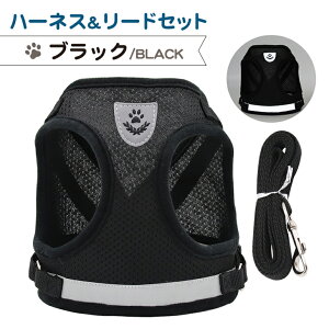 L  n[lX [h ybg   L hbO Lbg U 킢 bV  ˔ ybg  ^ ^ [hZbg SU op  y12܂