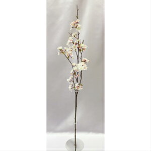 yII}UNiԁjz@ԁ@@tFCNt[@A[eBtBVt[@VNt[@ԍށ@t@@ DIY nhCh Ԋ  u[P@CeA