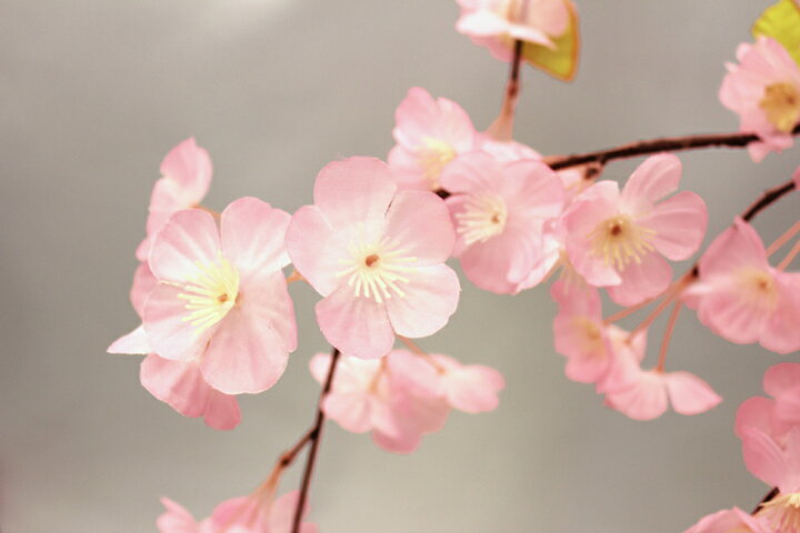 お得 しだれ桜 造花 インテリア フェイクフラワー Atlantide1 Com