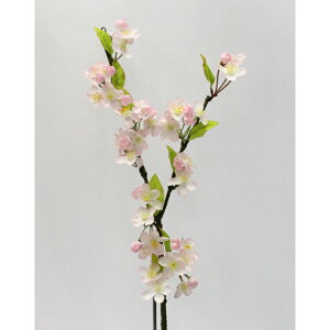 yTNu`iԁjz@@tFCNt[@A[eBtBVt[@VNt[@ԍށ@t@@X܁@@̑@fR[V@CeA Ԍ