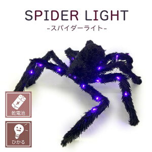 y Iz[XpC_[ LEDCgt z bnEBbhelloweenbpvLbJ{`b^bz[bTvCYbXpC_[bfBXvCbnEBbCX^fb