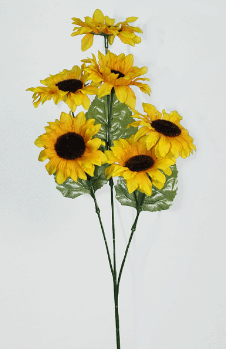 楽天市場】ひまわり【夏】花径約7cm 全長約50cm 6輪付ひまわり