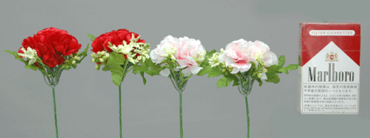 楽天市場】花径約3.5cm 3輪付カーネーション【造花 楽天市場】花径約3.5cm 3輪付カーネーション【造花