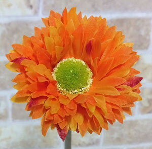 S46cmypXeK[xzIW@1{*NE-2017(Ԍa7cm)*