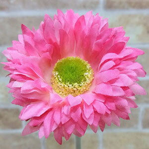 S46cmypXeK[xzsN@1{*NE-2017(Ԍa7cm)*