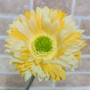 S46cmypXeK[xzCG[@1{*NE-2017(Ԍa7cm)*