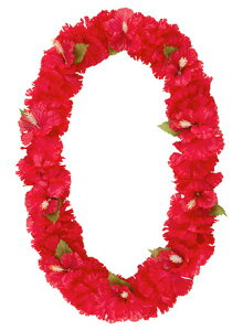 フラワーレイ ハイビスカス カーネーションレイ(BTY)(下がり60cm*花径8cm)FLE-7012-BTY【取寄せ可】