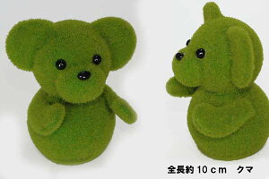 O[X Aj} 10cm XxA[(N})1 E5021