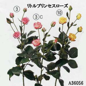 �y���ԁz���[�Y�X�v���[ �A�X�J���g���v�����Z�X���[�Y(�S8�F��3�F 3.3C.10)A-36056(�S����54cm*�Ԍa��1.2�`3cm)*